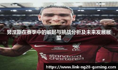 努涅斯在赛季中的崛起与挑战分析及未来发展展望