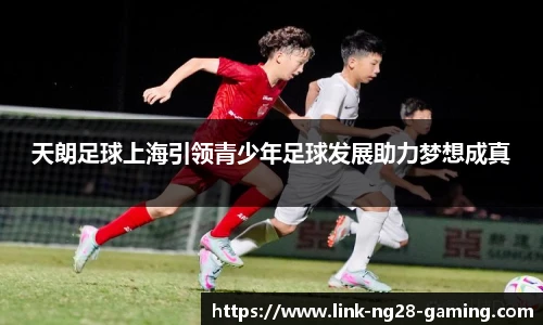 南宫NG28
